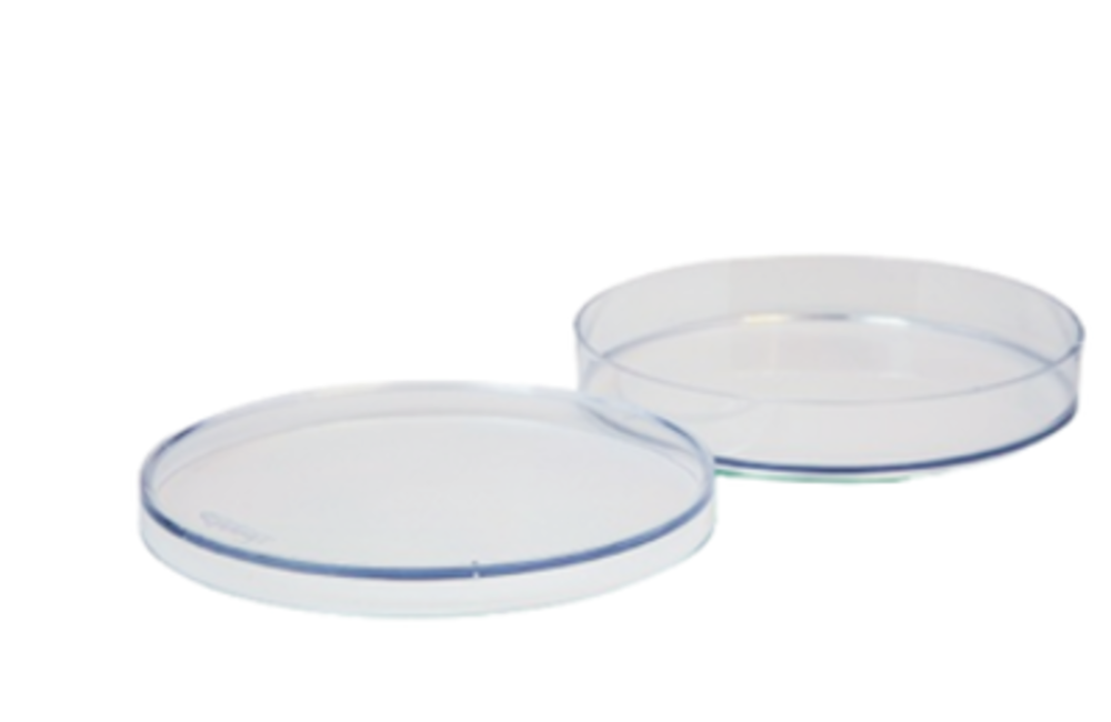 Placas-Petri-sin-Division